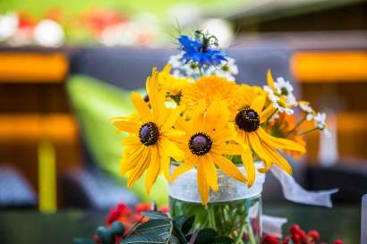 12_unterrainhof_viehhauser_blumenwiese_terrasse.jpg