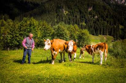 03_unterrainhof_viehhauser_bauernhof_ziege-frisst.jpg